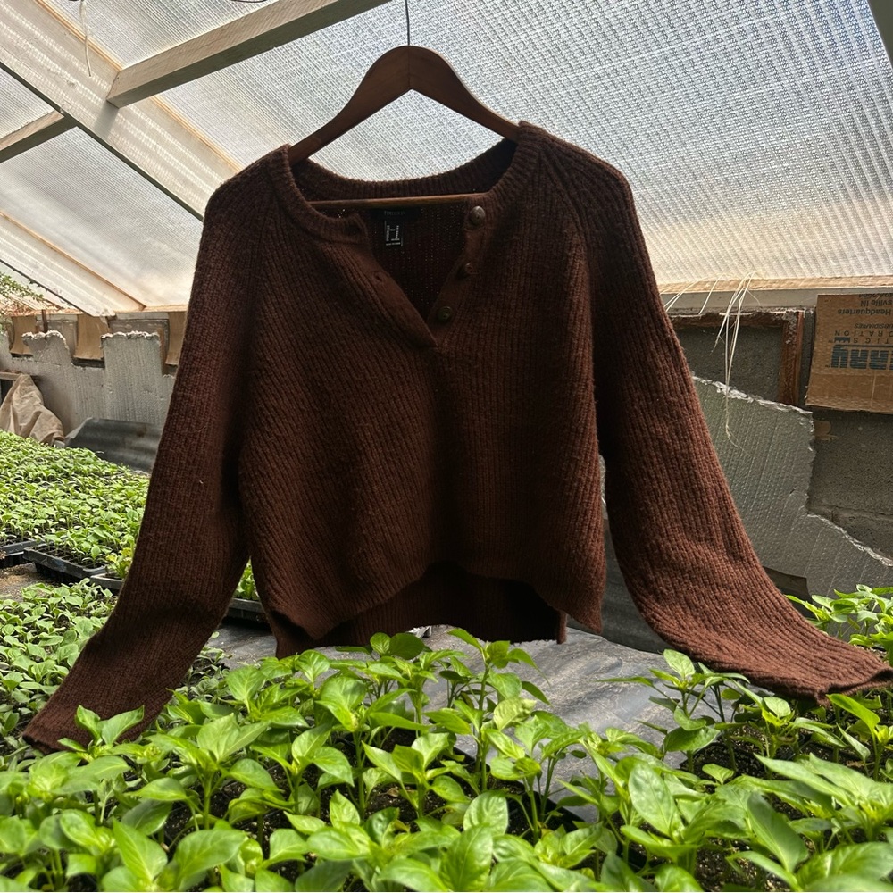 Cozy Brown Sweater